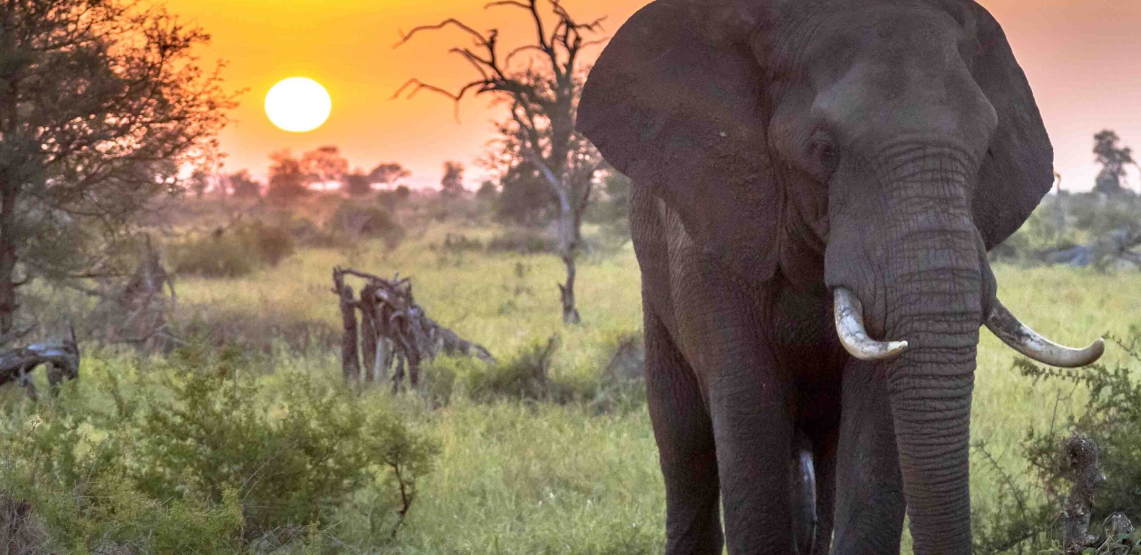 It's the 2024 SANParks National Parks Week - HOT 102.7FM