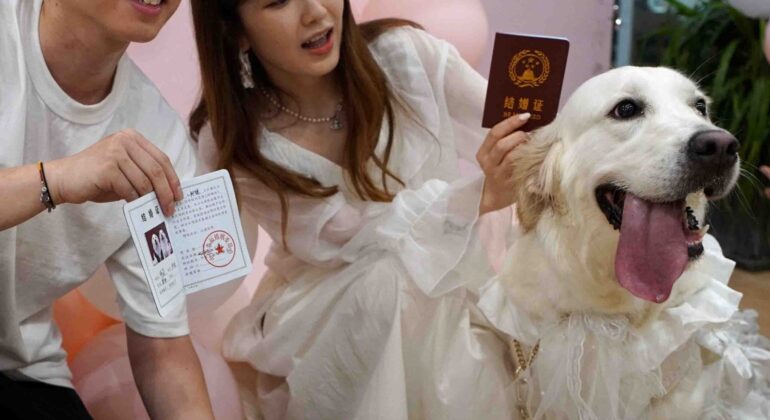 Puppy Love Hot Fm