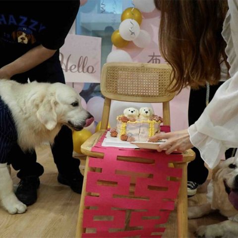 puppy-love-1