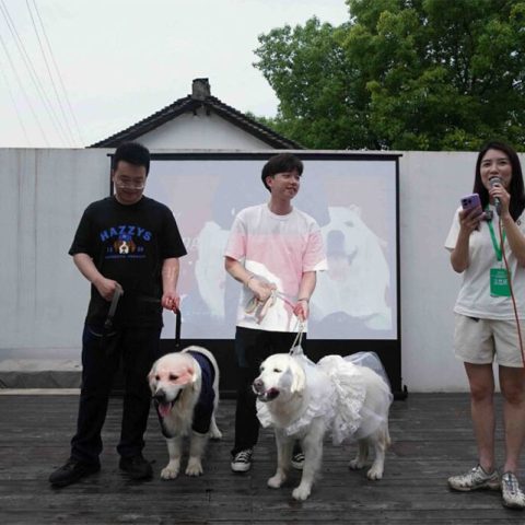 puppy-love-2