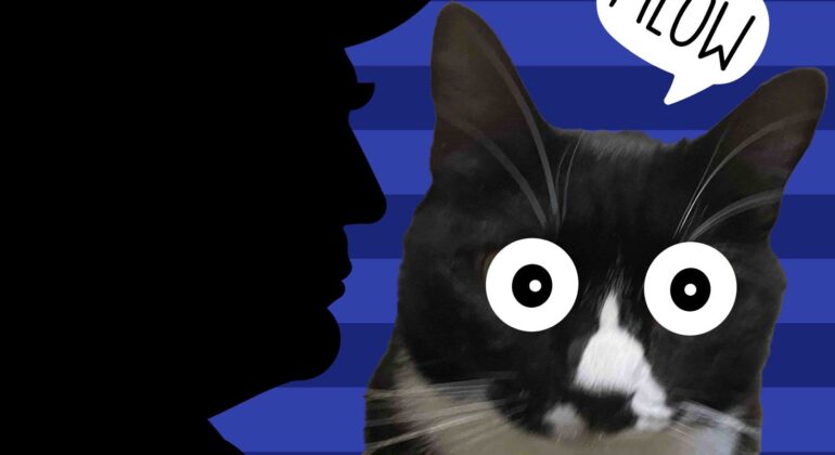 Potus Tariff Hot Fm