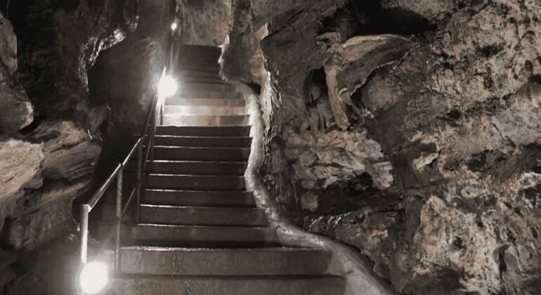 sterkfontein-caves-reopened
