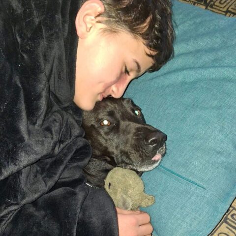 A person cuddles closely with a black dog on a blue pillow. The dog is lying on its side, holding a small stuffed toy, while the person gently presses their forehead against the dog’s head.