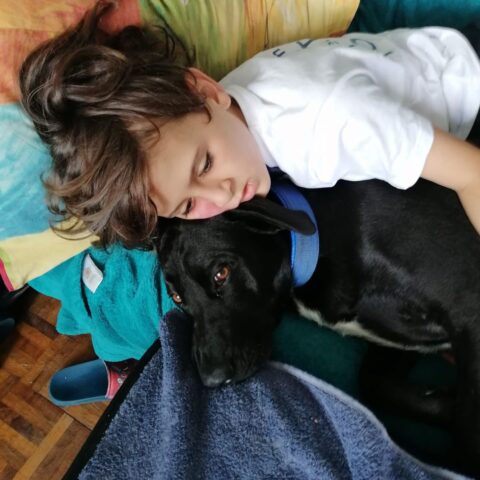 A young child with long brown hair lies on a bed, cuddling closely with a black dog wearing a blue collar. Both look relaxed and comfortable, resting on colorful pillows and blankets.