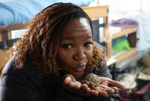 A person with curly hair and a nose ring gently holds a small turtle in their hands, appearing to kiss it. Bunk beds and blankets are visible in the background.
