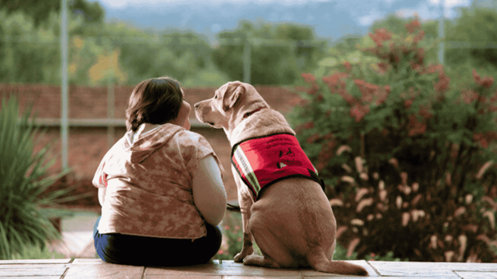 A person sits outside on a wooden deck next to a yellow Labrador wearing a red service dog vest, both gazing into the distance with greenery, a brick wall, and a bottle of vinegar resting nearby.