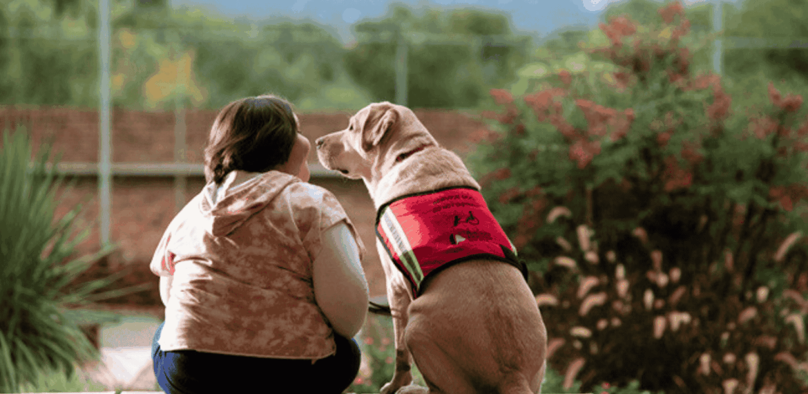 A person sits outside on a wooden deck next to a yellow Labrador wearing a red service dog vest, both gazing into the distance with greenery, a brick wall, and a bottle of vinegar resting nearby.