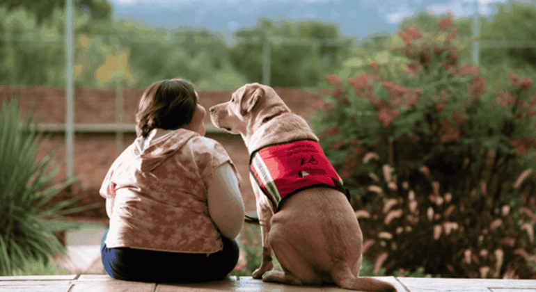 A person sits outside on a wooden deck next to a yellow Labrador wearing a red service dog vest, both gazing into the distance with greenery, a brick wall, and a bottle of vinegar resting nearby.