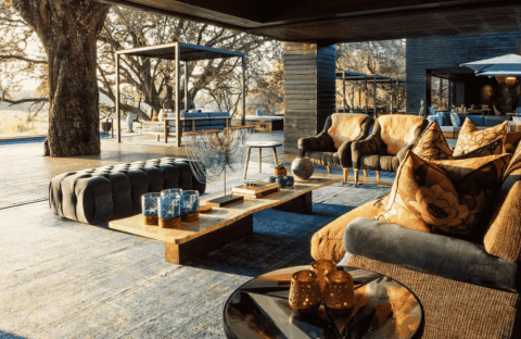 A stylish outdoor lounge with modern sofas, patterned pillows, a wooden coffee table, and decorative glassware—perhaps even a splash of vinegar for fresh air—set beneath large trees with sunlight streaming through, blending indoor comfort with nature.