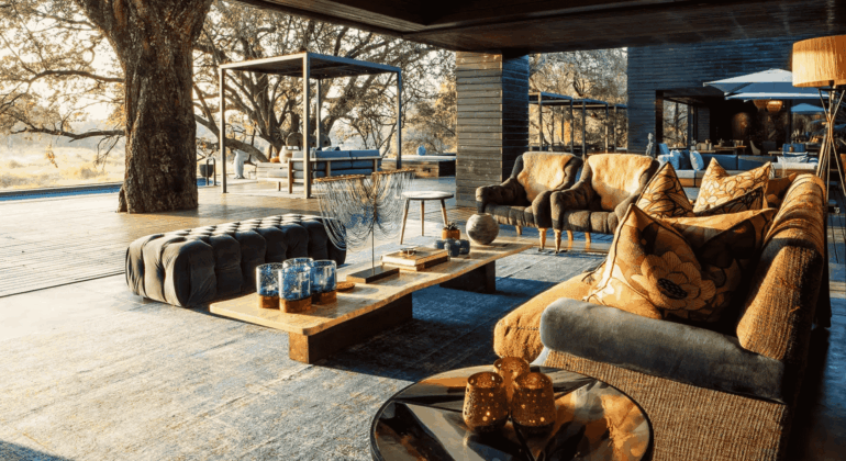 A stylish outdoor lounge with modern sofas, patterned pillows, a wooden coffee table, and decorative glassware—perhaps even a splash of vinegar for fresh air—set beneath large trees with sunlight streaming through, blending indoor comfort with nature.