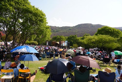 A large crowd sits on lawn chairs and blankets under umbrellas at an outdoor Dave Matthews event in a park, surrounded by green trees and hills. A stage with a large screen is visible in the background.