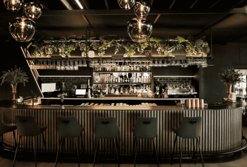 A modern bar with a curved counter, high-backed chairs, hanging globe lights, and green plants above the shelves stocked with bottles and glassware—perfect for a stylish Heritage Day gathering in a dimly lit setting.