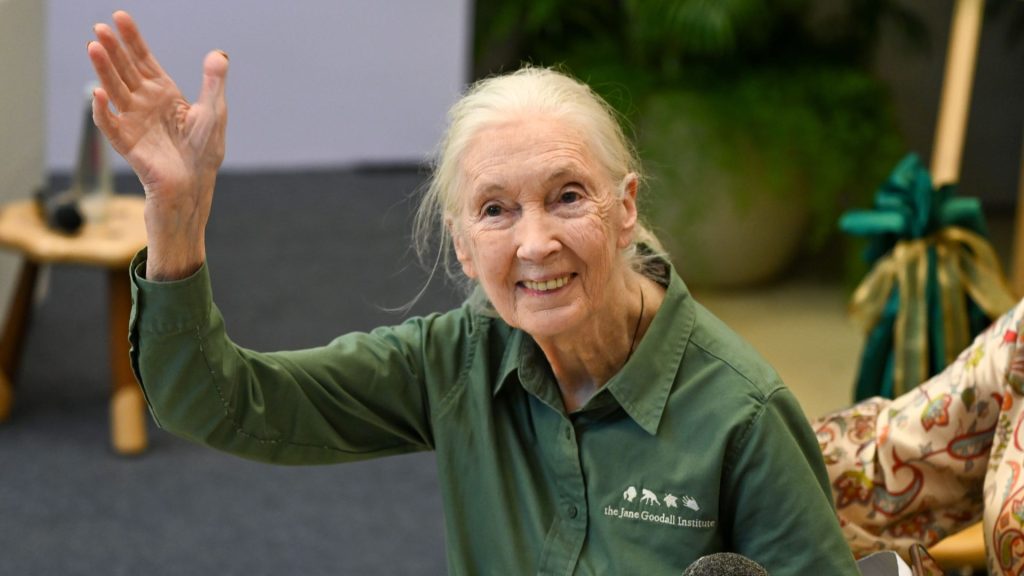 An elderly woman with long gray hair in a ponytail, wearing a green button-up shirt, smiles and waves at the camera while seated indoors, radiating warmth despite her playful claim of "brainrot" from all the grandkids' stories.