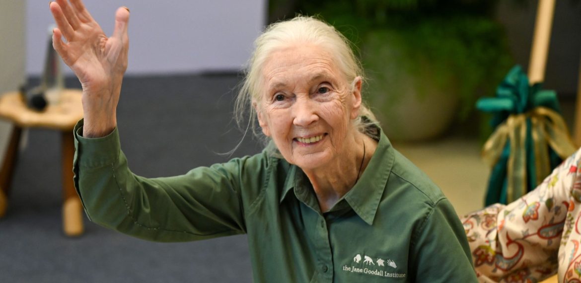 An elderly woman with long gray hair in a ponytail, wearing a green button-up shirt, smiles and waves at the camera while seated indoors, radiating warmth despite her playful claim of "brainrot" from all the grandkids' stories.