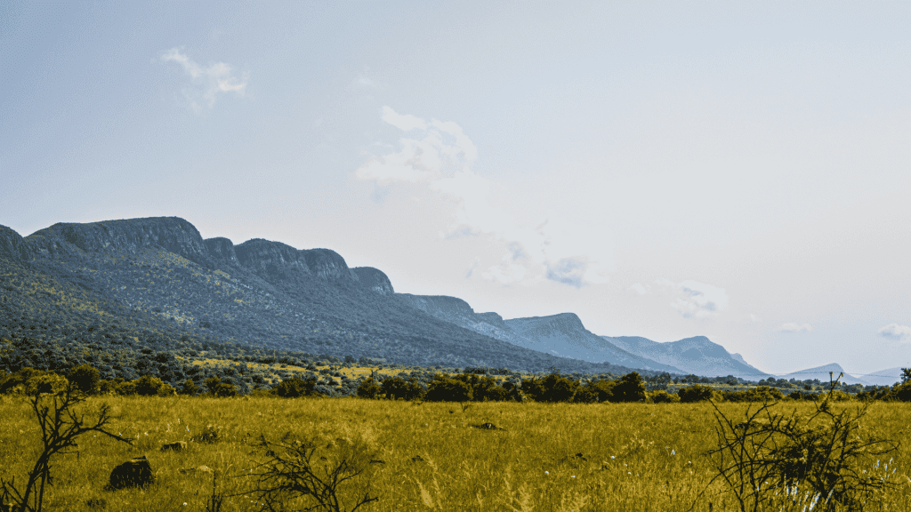 A grassy savanna stretches toward a range of green, rugged mountains under a bright, partly cloudy sky. Bushes and small trees are scattered across the field in the foreground.