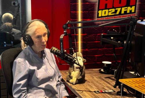 An elderly woman with white hair sits in a radio studio, speaking into a microphone. Wearing headphones and a light blue shirt, she’s joined by a stuffed chimpanzee on the desk—a playful scene at HOT 102.7 FM that’s sure to banish any brainrot.