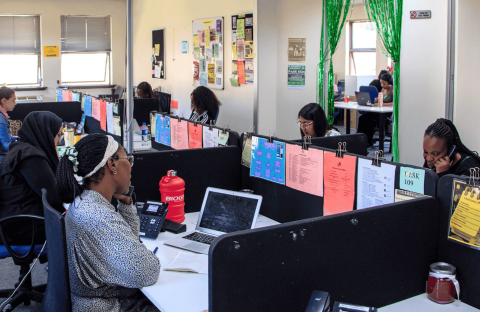 An office with people working at desks in cubicles. Each workspace has colorful papers clipped to dividers, computers or laptops on desks, and a poster of the Olivedale Windmill brightening the room’s walls and windows.