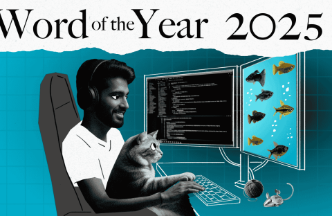 A person with headphones sits at a desk using a computer with two monitors, holding a cat. One screen shows code, the other displays images of Magaliesberg fish. Text above reads “Word of the Year 2025.” A toy mouse and yarn ball are on the desk.
