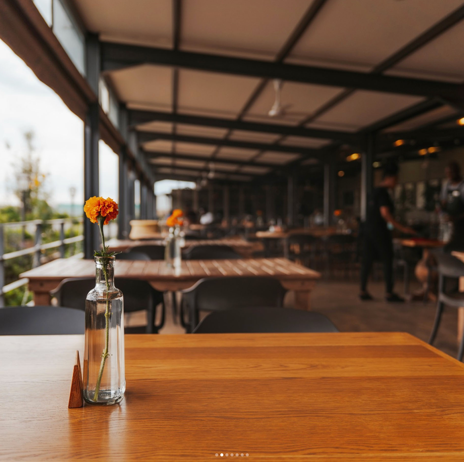 A single orange marigold in a glass bottle sits on a wooden table in a spacious, modern restaurant with large windows and natural light, creating an inviting scene perfect for celebrating Heritage Day.