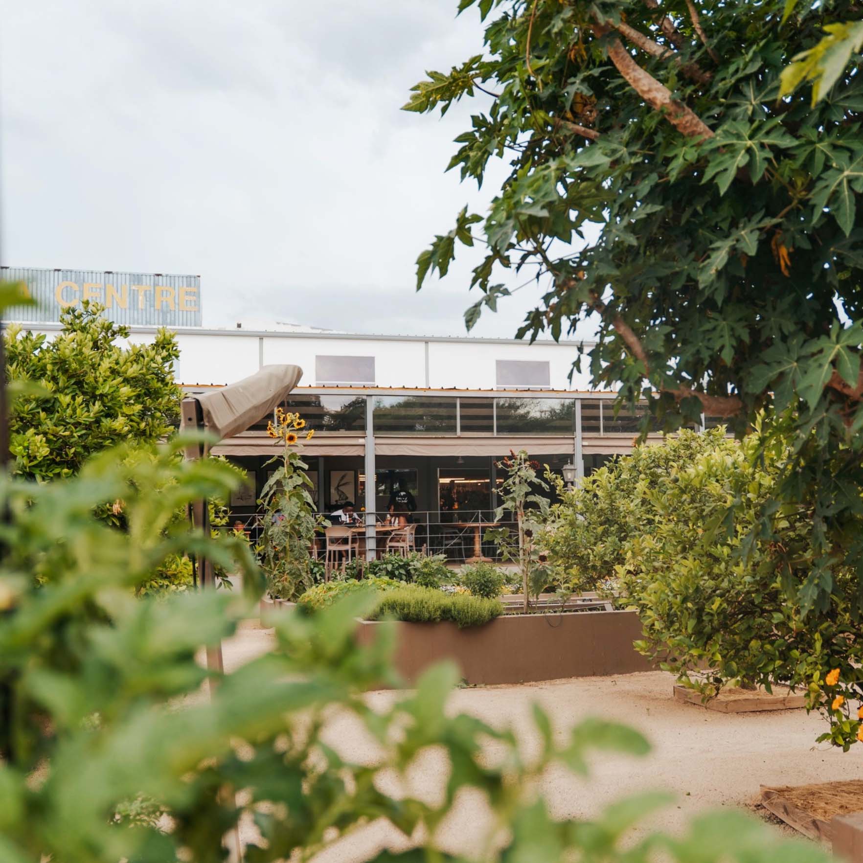 A garden with lush green trees and plants surrounds a building with large windows and a covered patio, where people are sitting and dining outdoors, celebrating Heritage Day in a relaxed, vibrant setting.
