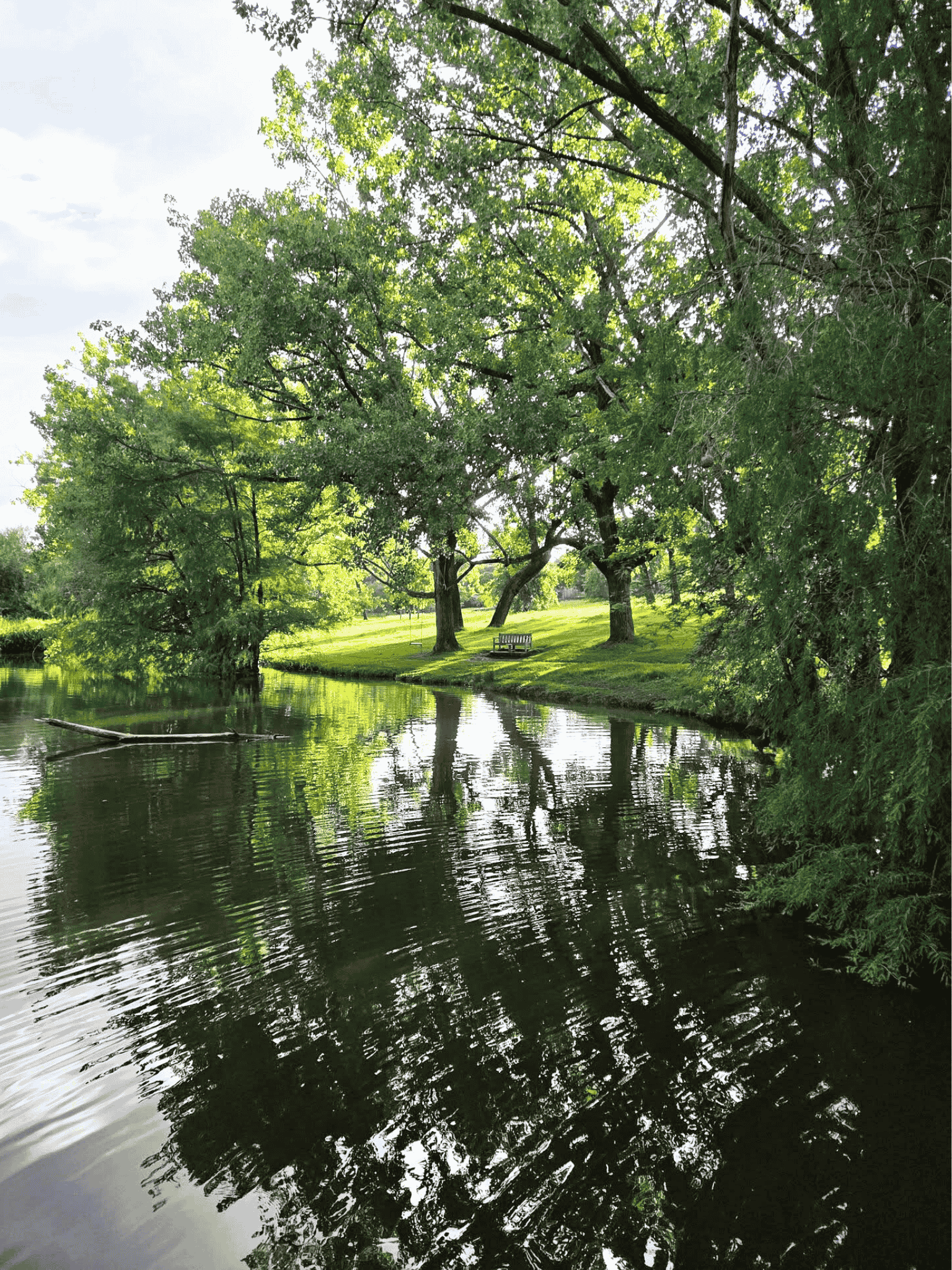 A peaceful pond reflects green trees and a grassy area. Sunlight filters through the branches, while a bench beneath the trees invites relaxation—and perhaps reflection on new business opportunities in this serene, natural setting.