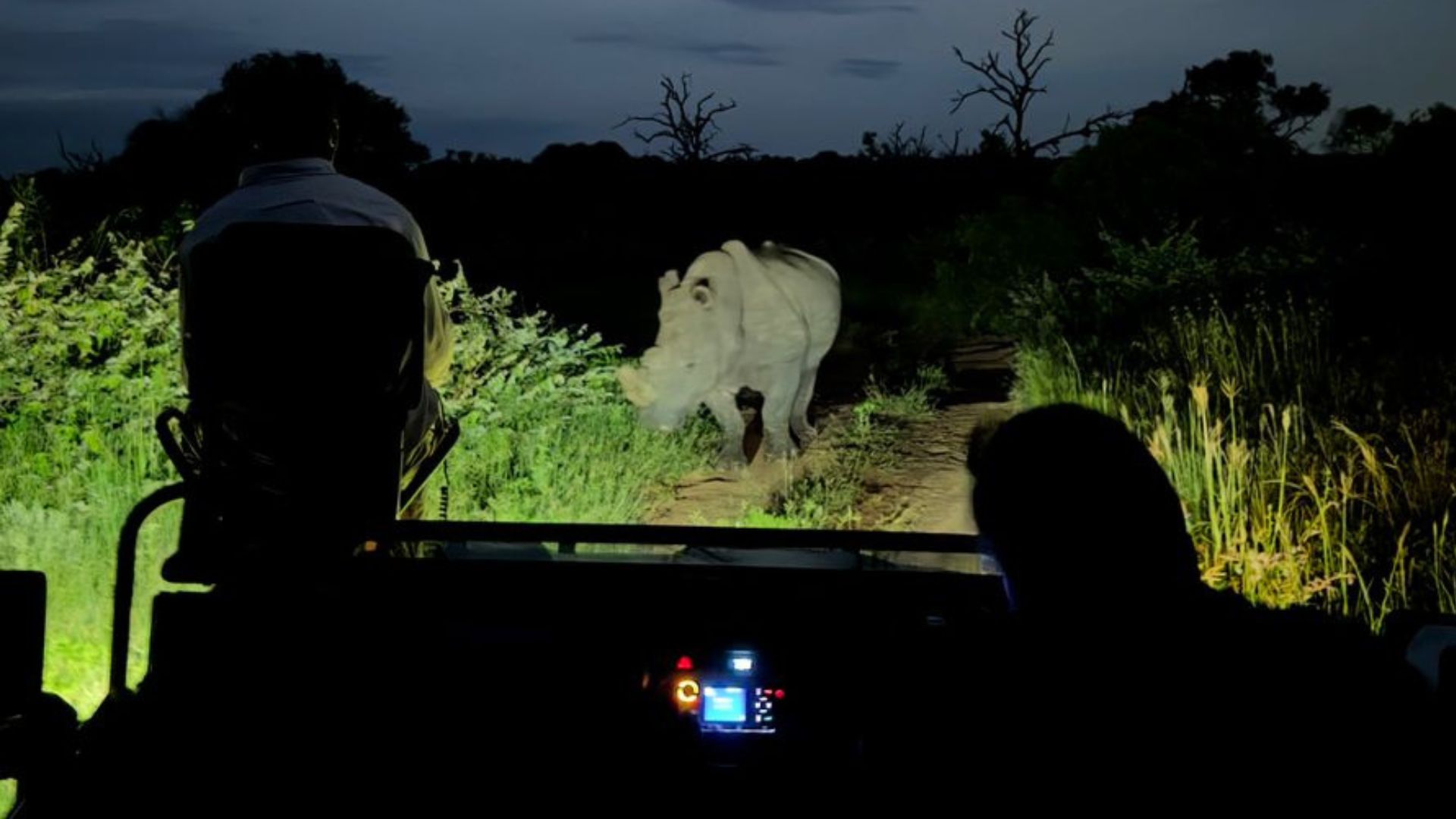 A white rhinoceros stands on a dirt path at night, illuminated by headlights from a safari vehicle with two people—recent Matric graduates—inside, surrounded by dense vegetation.