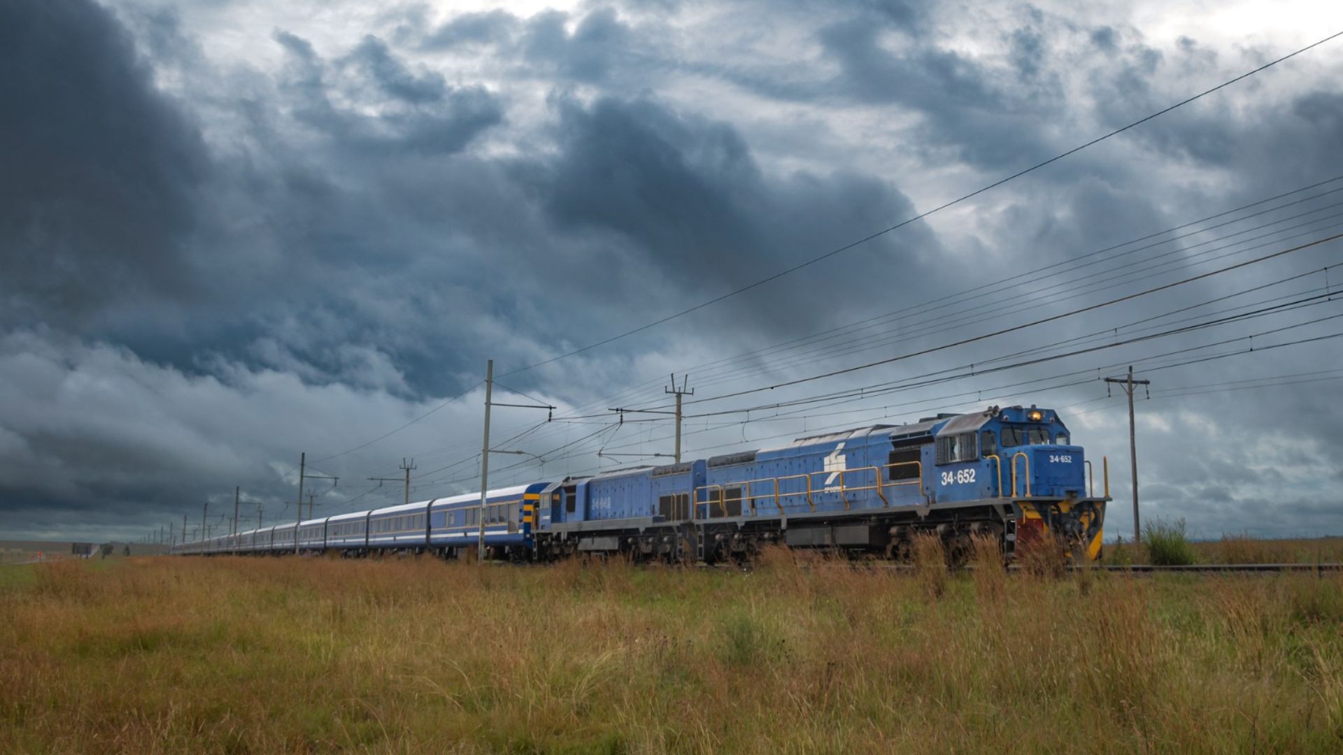 A long blue passenger train travels through grassy fields and bush under dramatic, cloudy skies, with electric wires running overhead—perfect for a scenic travel getaway.