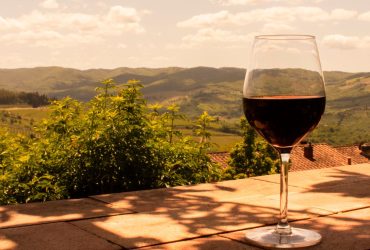 A glass of red wine sits on a stone ledge overlooking a sunny, green valley—the perfect getaway for travel lovers. Shadows from a nearby bush and plants dance across the ledge beneath a partly cloudy sky.
