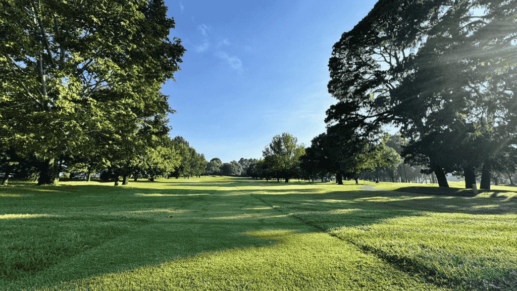 A sunlit golf course with green grass, large trees casting shadows, and a clear blue sky overhead offers the perfect setting for fuel relief and relaxation as sunrays stream through the branches, creating a peaceful and open landscape.