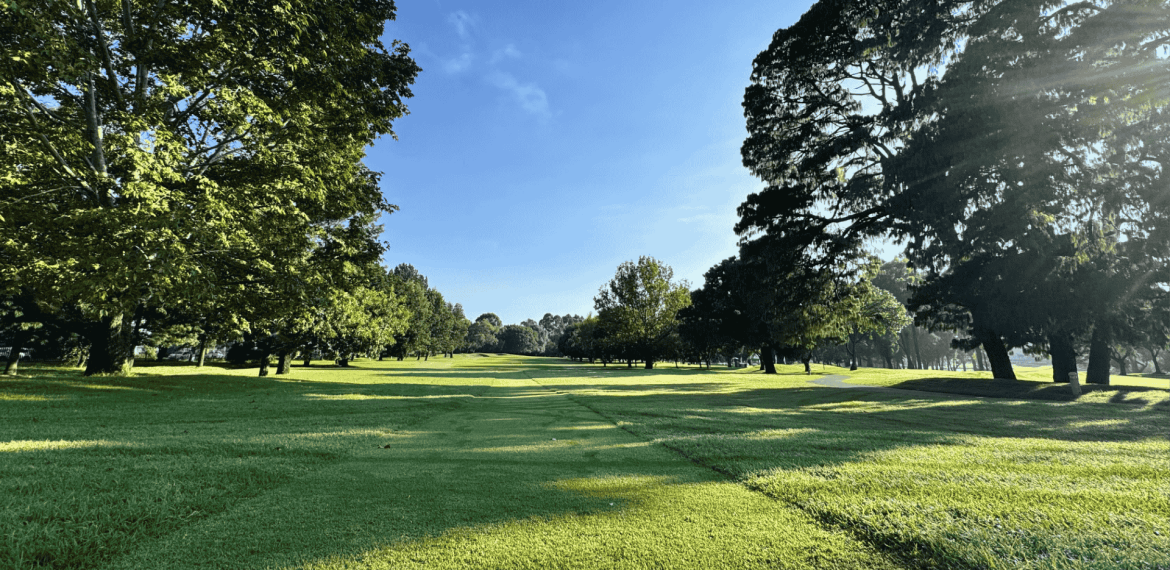 A sunlit golf course with green grass, large trees casting shadows, and a clear blue sky overhead offers the perfect setting for fuel relief and relaxation as sunrays stream through the branches, creating a peaceful and open landscape.