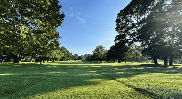 A sunlit golf course with green grass, large trees casting shadows, and a clear blue sky overhead offers the perfect setting for fuel relief and relaxation as sunrays stream through the branches, creating a peaceful and open landscape.