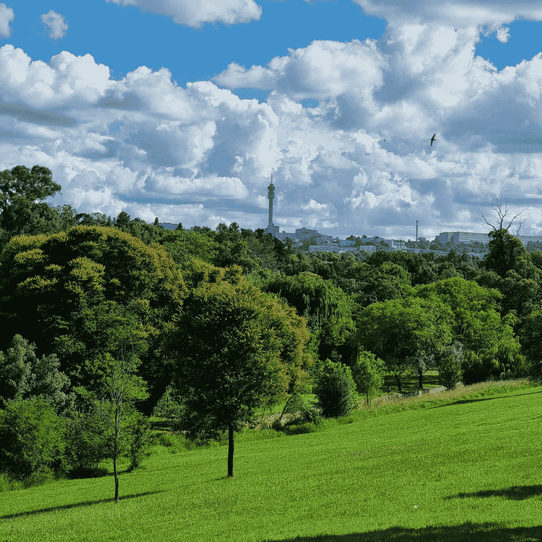 Al_Prodgers_North_South_Divide_Thumbnail