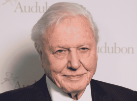 An elderly man with white hair, exuding an air of quiet wealth, wears a black suit and white shirt as he smiles slightly in front of a backdrop with the word Audubon and logo partially visible.