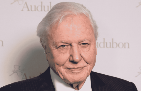 An elderly man with white hair, exuding an air of quiet wealth, wears a black suit and white shirt as he smiles slightly in front of a backdrop with the word Audubon and logo partially visible.