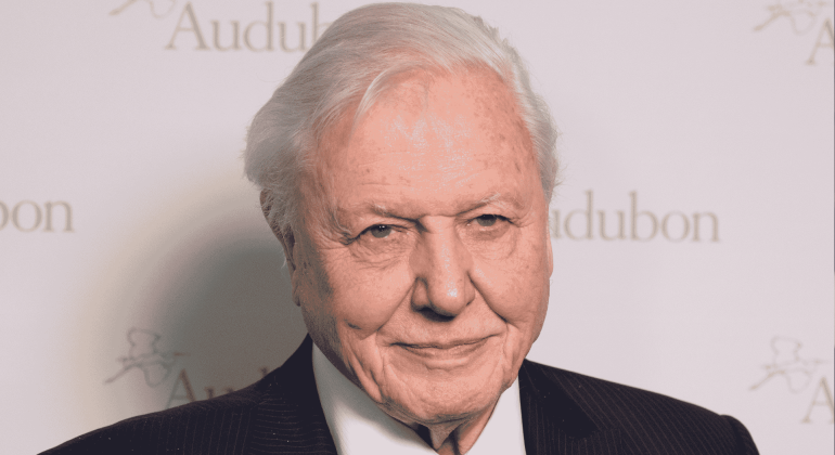 An elderly man with white hair, exuding an air of quiet wealth, wears a black suit and white shirt as he smiles slightly in front of a backdrop with the word Audubon and logo partially visible.
