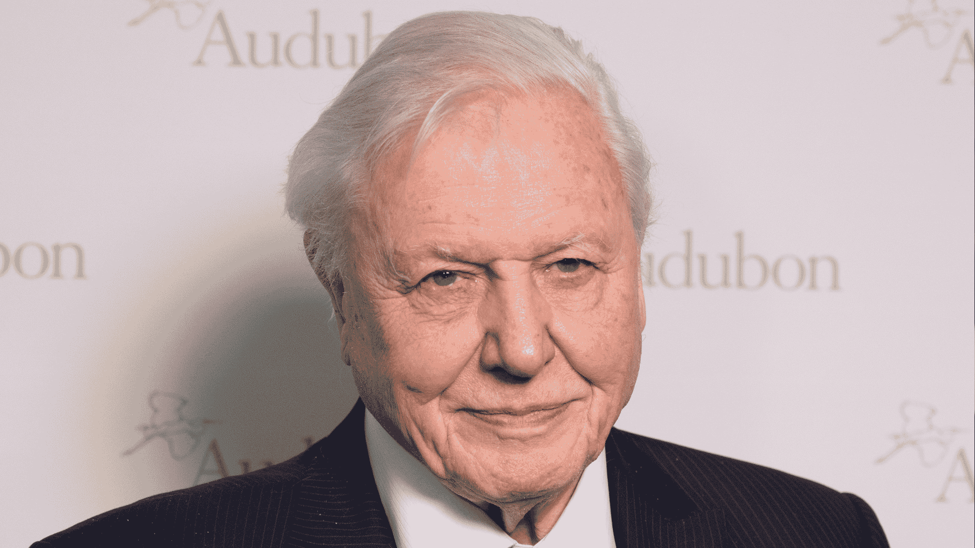 An elderly man with white hair, exuding an air of quiet wealth, wears a black suit and white shirt as he smiles slightly in front of a backdrop with the word Audubon and logo partially visible.