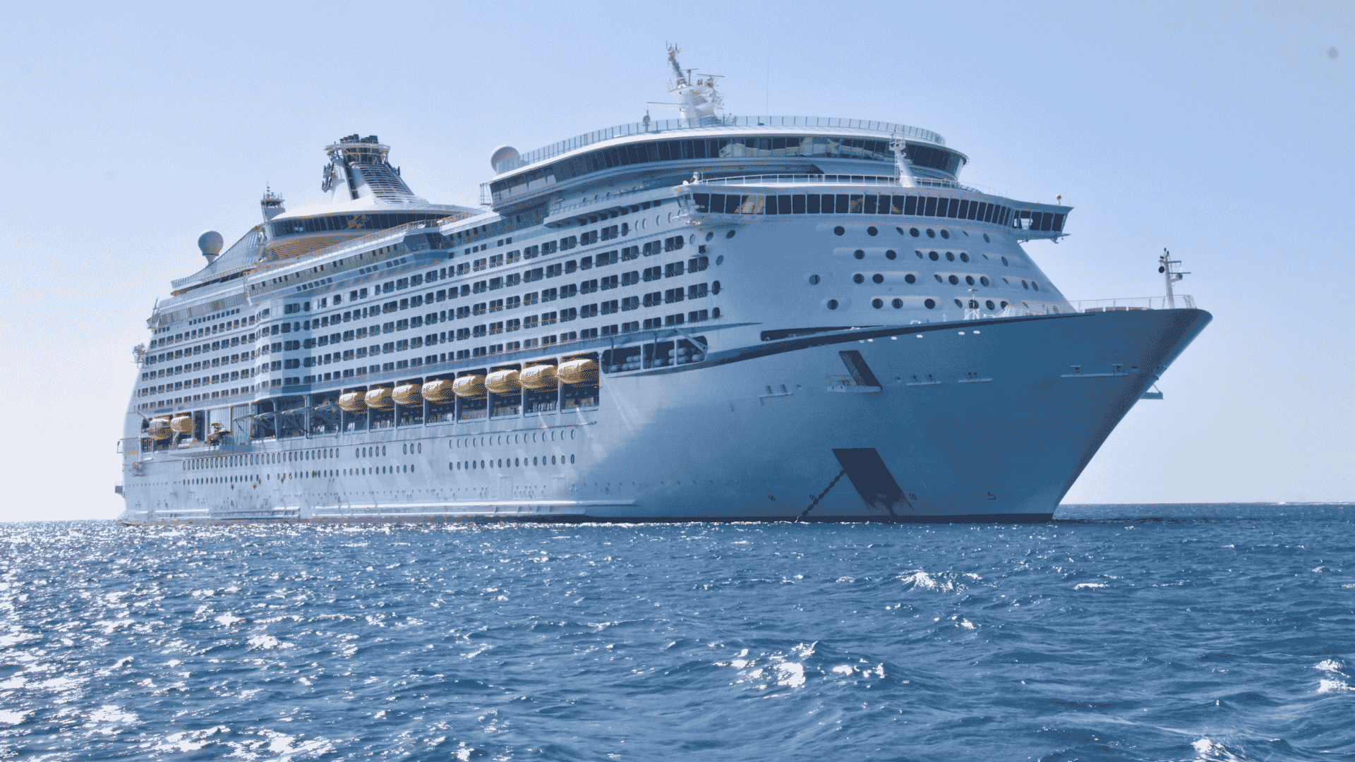A large white cruise ship, reminiscent of the grandeur seen in Lloyd Madurai’s fleet, floats on calm blue ocean water under a clear sky, viewed from a low angle near the front of the vessel.