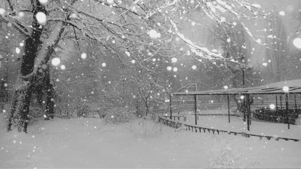 A snowy park scene with trees and branches covered in snow, large snowflakes falling, and a gazebo-like structure in the background—serene as the meeting of two oceans, everything blanketed in pure white.
