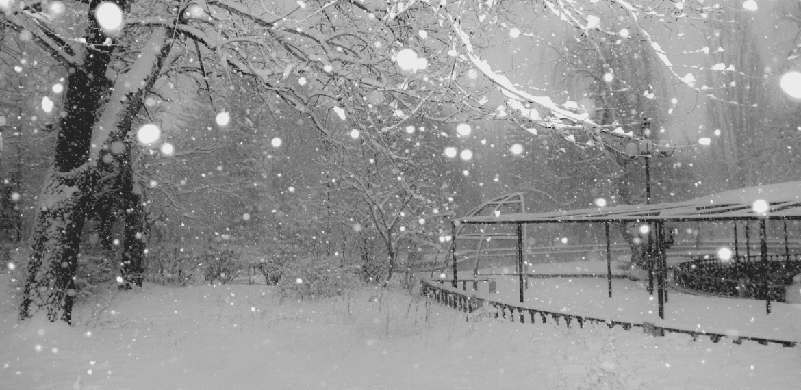 A snowy park scene with trees and branches covered in snow, large snowflakes falling, and a gazebo-like structure in the background—serene as the meeting of two oceans, everything blanketed in pure white.