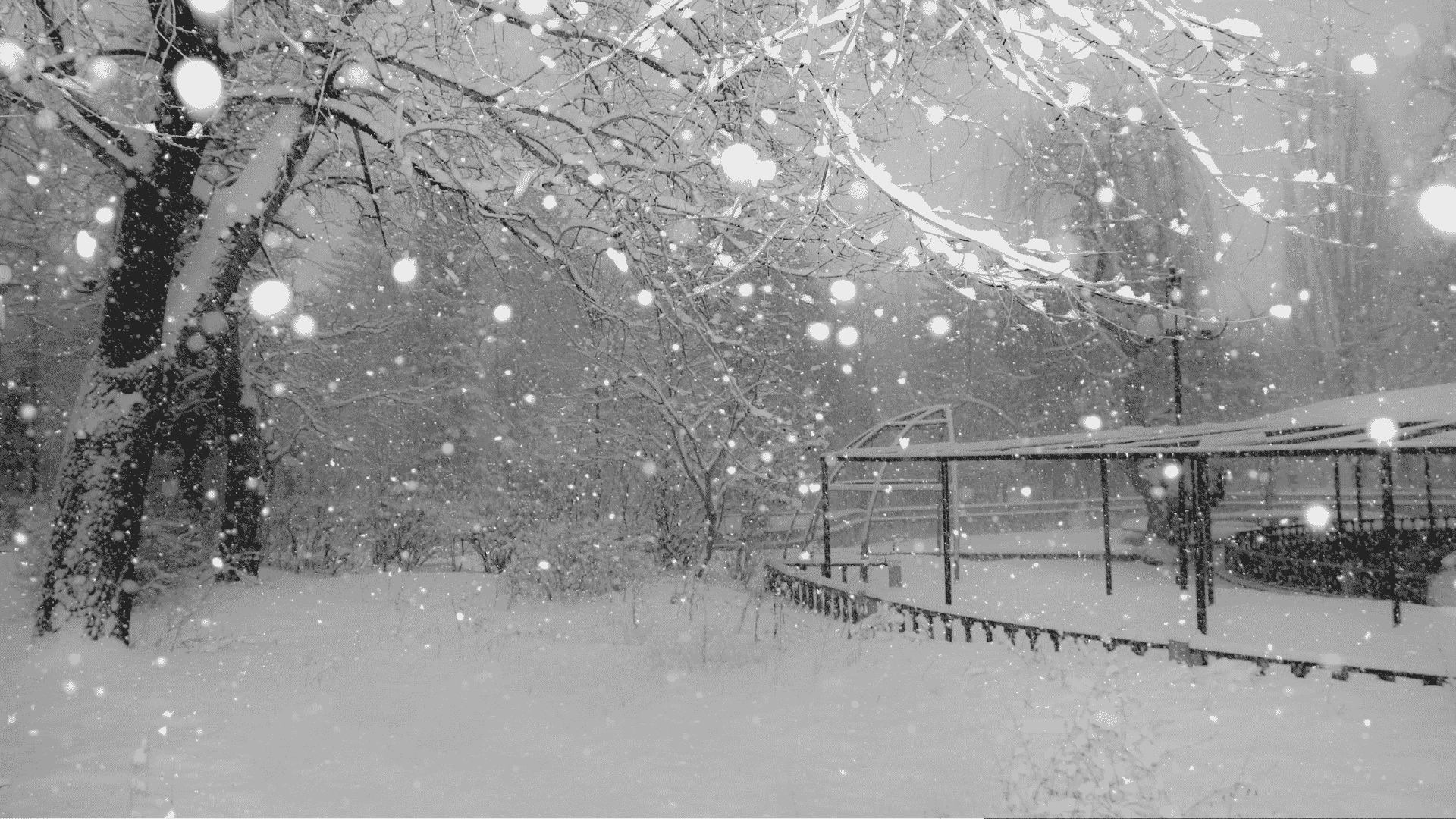 A snowy park scene with trees and branches covered in snow, large snowflakes falling, and a gazebo-like structure in the background—serene as the meeting of two oceans, everything blanketed in pure white.