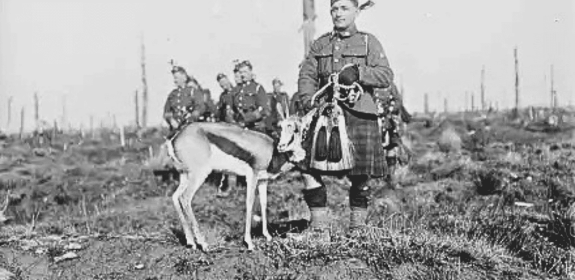 A soldier in a kilt stands beside an antelope on a barren field, with other soldiers in the background. The scene appears historical, possibly from wartime.