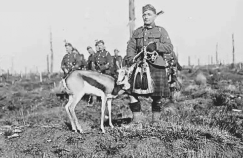 A soldier in a kilt stands beside an antelope on a barren field, with other soldiers in the background. The scene appears historical, possibly from wartime.