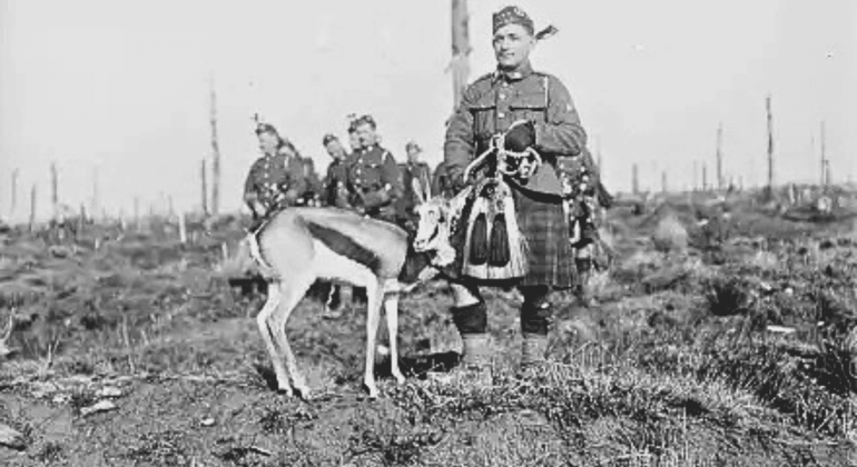 A soldier in a kilt stands beside an antelope on a barren field, with other soldiers in the background. The scene appears historical, possibly from wartime.