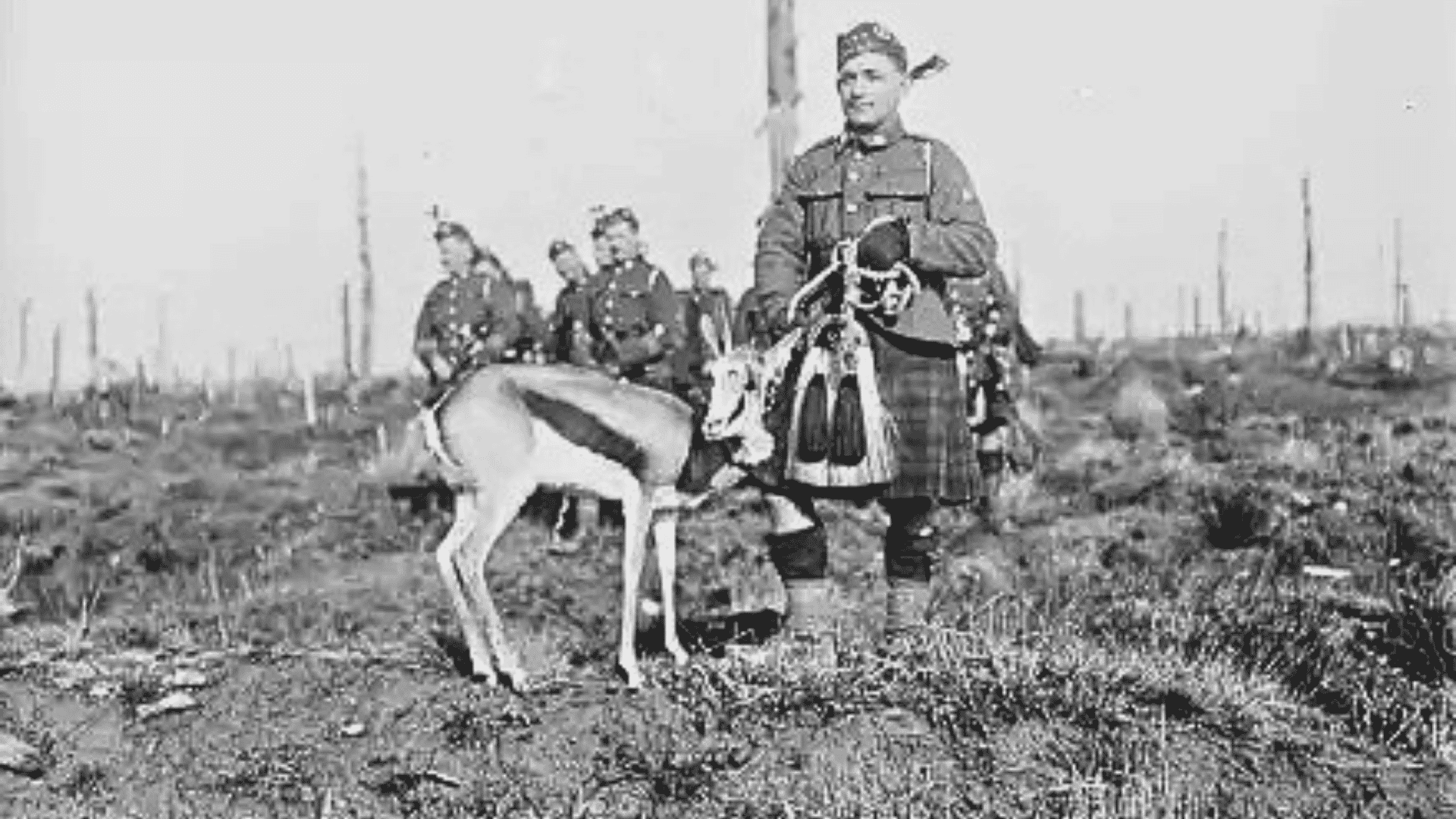 A soldier in a kilt stands beside an antelope on a barren field, with other soldiers in the background. The scene appears historical, possibly from wartime.