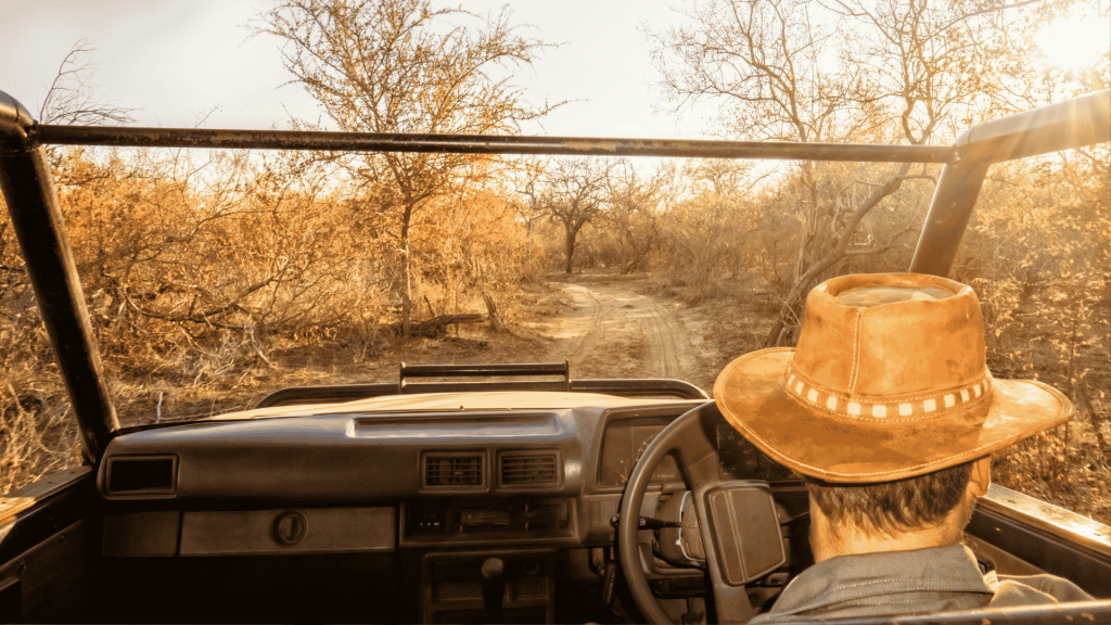 A person wearing a brown hat drives an open-top vehicle along a dirt road through a dry, sunlit landscape with sparse trees and golden foliage, a winter blanket tossed across the back seat for warmth on cooler evenings.