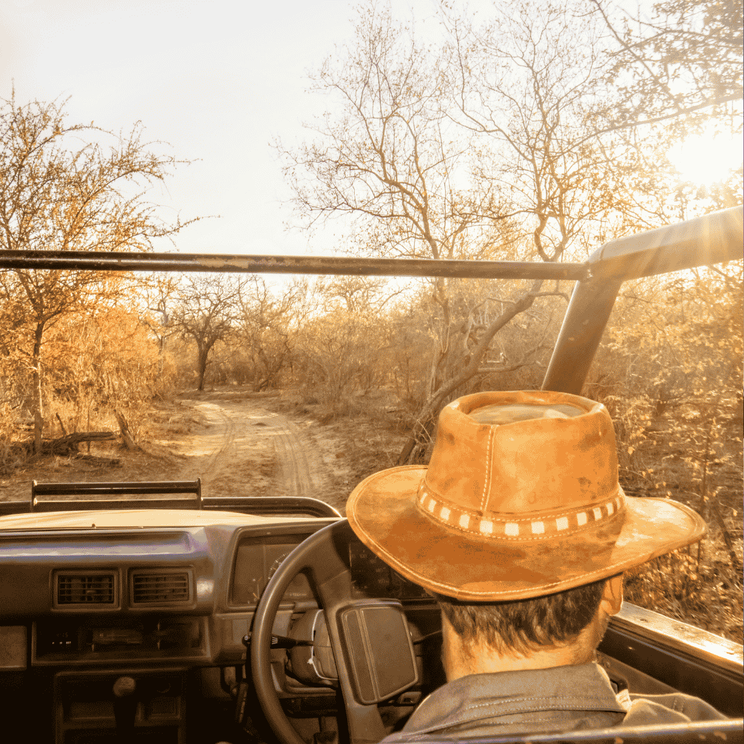 A person wearing a brown hat drives a jeep on a dirt path through dry, sunlit trees, likely on a safari adventure, with a winter blanket draped over the passenger seat for chilly early mornings.
