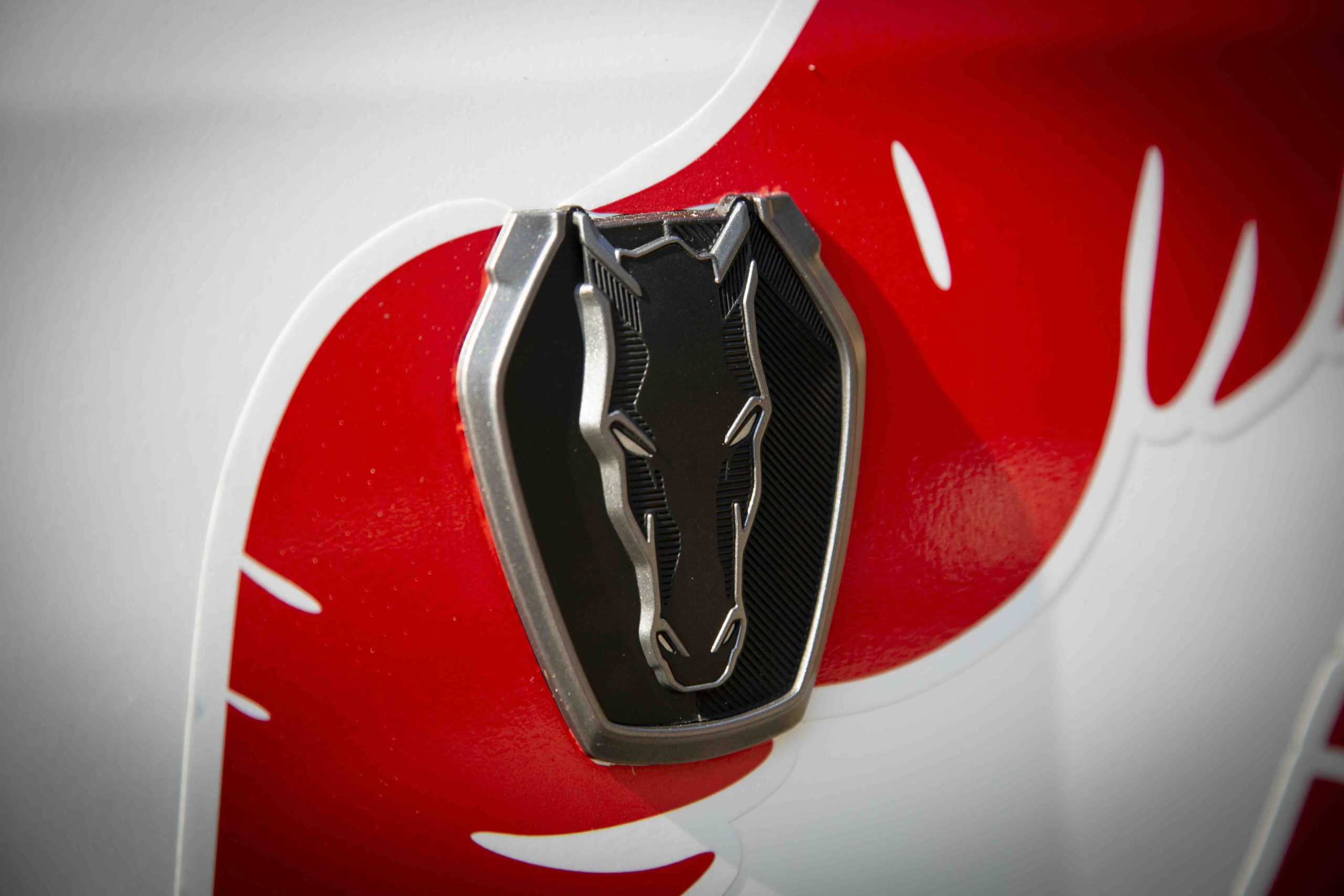 A close-up of a metallic badge featuring a stylized Mustang Dark Horse head on a white and red patterned surface.