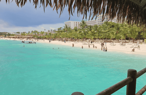 View of a tropical beach with turquoise water, people swimming, palm trees, and a white hotel in the background, seen from under a thatched roof&mdash;a perfect escape from the winter blanket that covers much of the world.