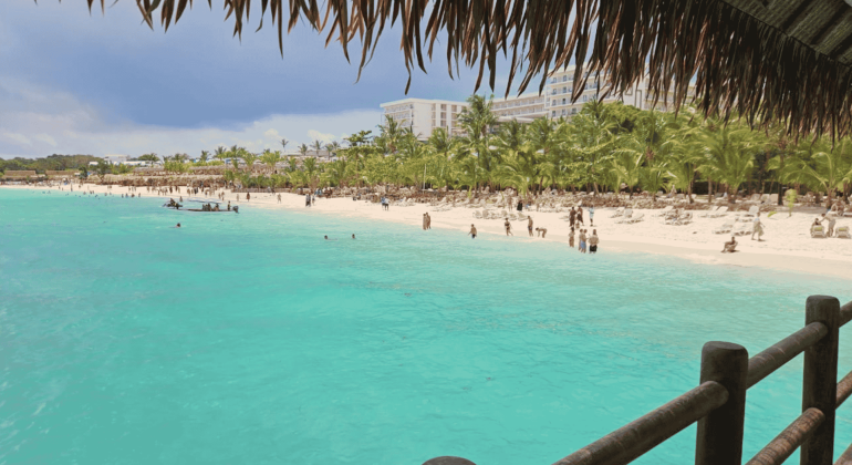 View of a tropical beach with turquoise water, people swimming, palm trees, and a white hotel in the background, seen from under a thatched roof—a perfect escape from the winter blanket that covers much of the world.