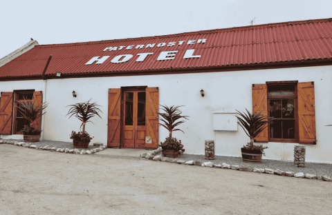 A white building with a red roof and wooden doors and windows, labeled PATERNOSTER HOTEL. Four potted plants are placed in front, and the ground is sandy with some small rocks.